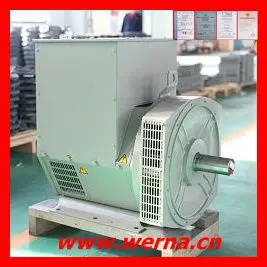 satın al İzolasyon Sınıfı H 220V Tek Fazlı AC Jeneratörü online manufacture