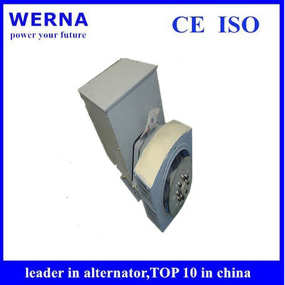 satın al Three-Phase Induction Generators Low THF and Copper Winding Material for Sustainable Power Generation online manufacture