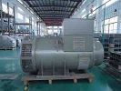 MX341 + PMG Üç Fazlı Fırçasız Alternatör Self - Heyecanlı 80kW 2/3 Pitch