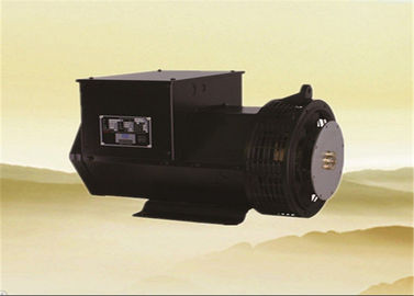 Çift taşıyan üç fazlı alternatör 25kw 31.3kva 12 / 6 tel