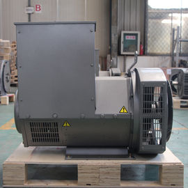 Taşınabilir 20kw 50hz Konut Dizel AC Jeneratör 110 - 240V SX460 AVR
