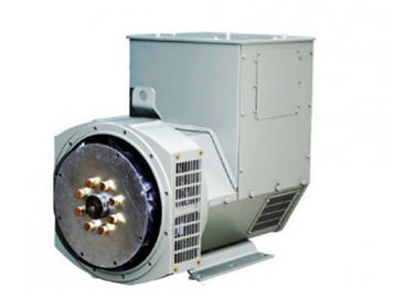 Taşınabilir Tek Fazlı Senkron Dizel Jeneratör 20kw 50hz 110 - 240V SX460 AVR